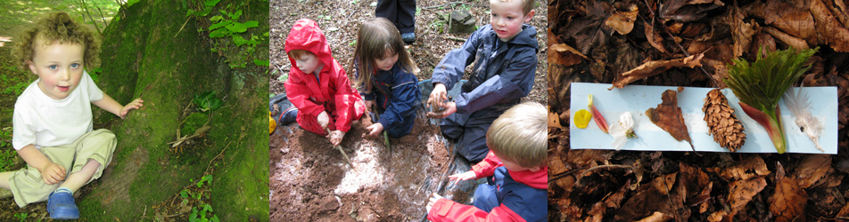 Mud Pies has grown out of a love of nature, and long experience of helping children learn more about the wonders of the natural world.