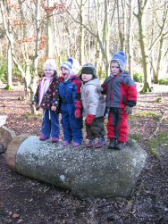 balancing on a beech log