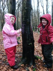 Children drawing on trees in the rain