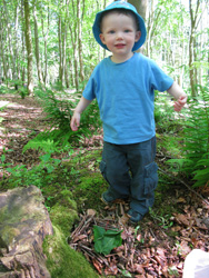 Outdoor nature classes for families and schools by Mud Pies