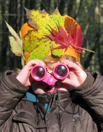  Leaf crowns and binnoculars