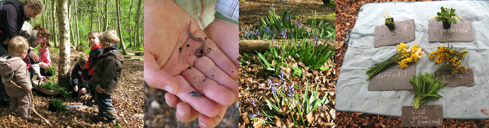 Mud Pie sessions are nature fun classes for young children aged 2-5 year old and involve a series of hands-on, fun activities in Aberdeen and Aberdeenshire.