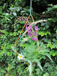 A wild weaving creation